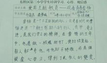 狼图腾读后感400字