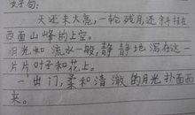 优美语句摘抄大全