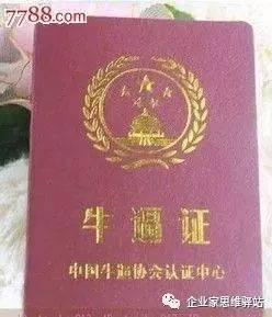 牛B的话