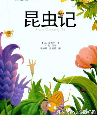 经典语录：我想找一个人，这样我随时可以打扰
