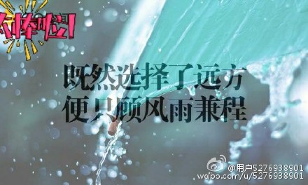 自立与自立