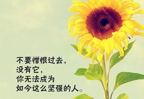鼓舞人心的座右铭