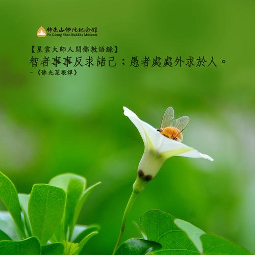 佛教格言