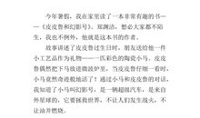 皮皮鲁读后感300字