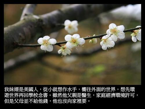 一生的经验