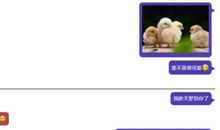 史上最肉麻的情话