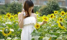 丁立梅：祖母的葵花