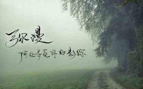 金典谈