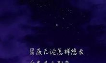 描写夏季夜晚的句子