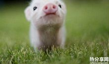 11个小方法保持一天的好心情