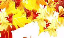 秋季服装广告词