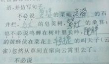 用不必说也不必说造句