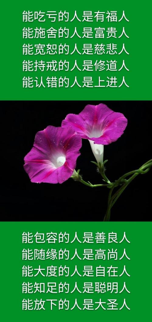 认识人而不是评判人，这是聪明人最大的好意