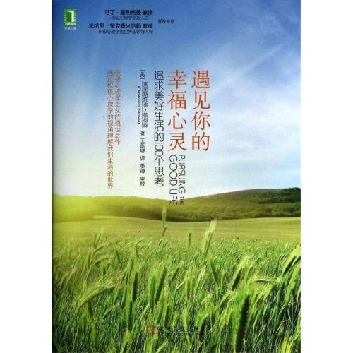 追逐幸福