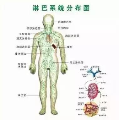 王伟：细微差别决定了生死