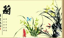 描写兰花的好句