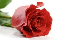 许单单：成功，没有人比我更曲折