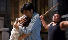 高圆圆：我也需要一场越狱