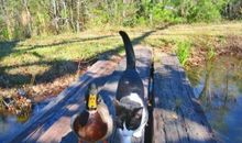 能用钱解决的事情千万不要欠人情