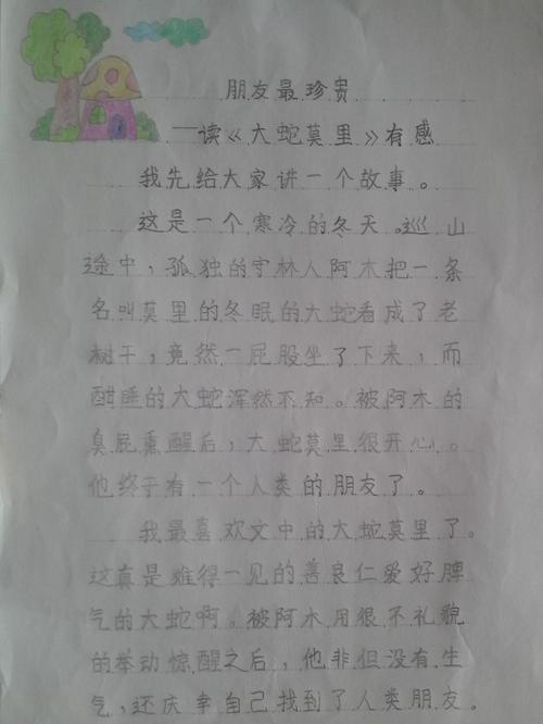 读《看》后的感想