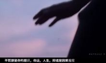 王微:忠于自我的人生导演