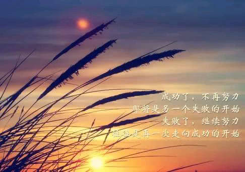 放手吧