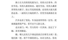 2018年的第一场雪作文