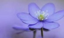 人生四法则:改变、适应、回避、放弃