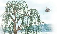 值得回味的话语