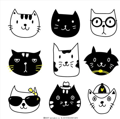 小动物组成：可爱的小猫
