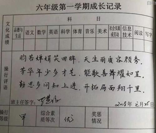 小学六年级最后学生的评论