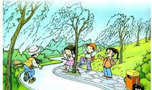 三年级作文：柳树姐姐