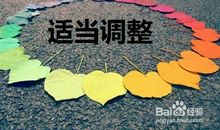 怎样规划你的毕业后的人生