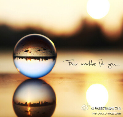 经典语录：有时候，扎根少比集中精力更好