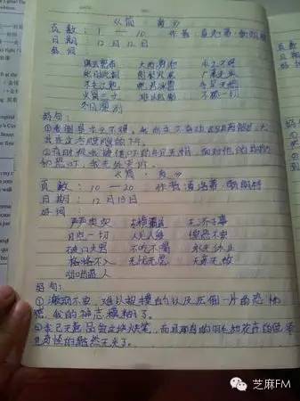 精致的细分