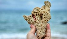 上帝告诉你有天堂，但上帝不会拉你进天堂