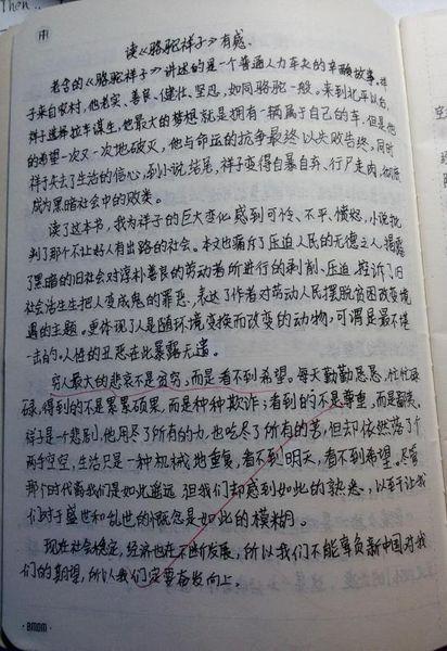 看完祥子