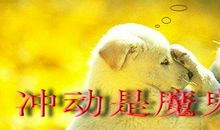 关于冲动的句子