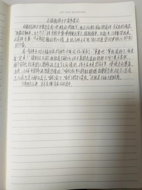 读湘子罗托后的50个字