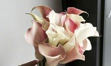 人生感悟之11条大彻大悟