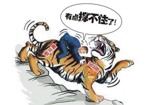 骑老虎