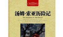 汤姆索亚历险记主要内容200字