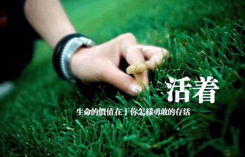 生命的意义和价值
