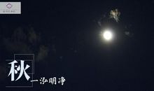 经典语录：只要被打碎，我就随风飞