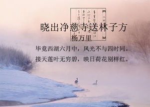 关于夏天的片段