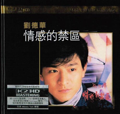 刘德华经典歌词