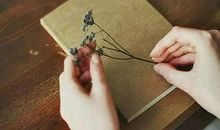 30至47岁，当你扛不住的时候就读一遍