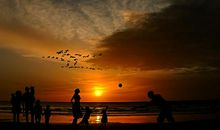 不避过往,不畏将来,直面当下 ——《岛》读后小感