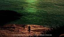 经典语录：红颜弹指老，刹那芳华