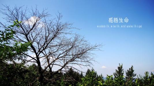 感觉生活